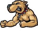 Pit_Bull