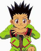 Gon Freecss