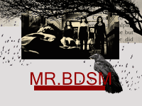 MR. BDSM