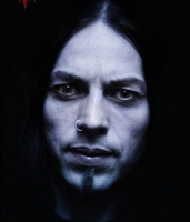 Ulver Norseng