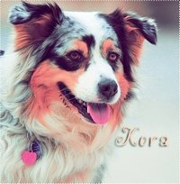 Kora