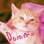 Dorotea