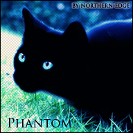 Phantom