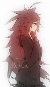 Rokaio