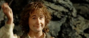 Peregrin Took