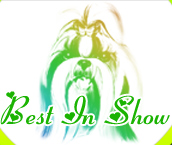 best_in_show