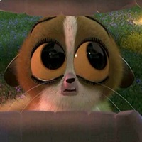 �����(��������)