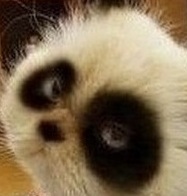 ���������������