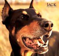 Jack