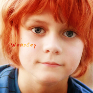 Charlie Weasley