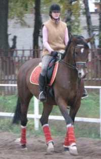 ���@(��� Champion dreams)