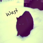 West