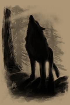 Vargo