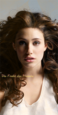 ���� ������