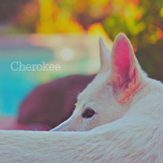 Cherokee Cherokee