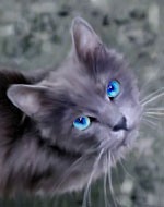 ����� ������