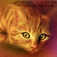 �������� ������