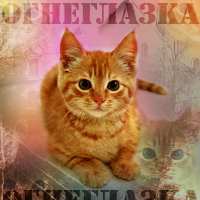 ����������