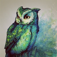 limeowl