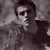 Stefan Salvatore