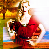 Candice Accola