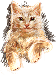 Котофей Котофей