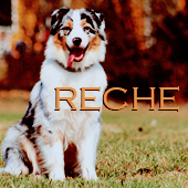 Reche