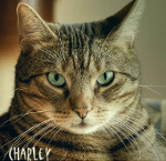 Charley