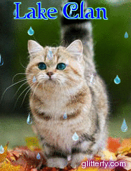 ���������� ������