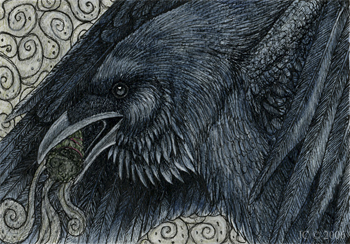 Corvus