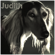 Judith Saluki