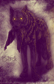 Capitan Black Capitan Black