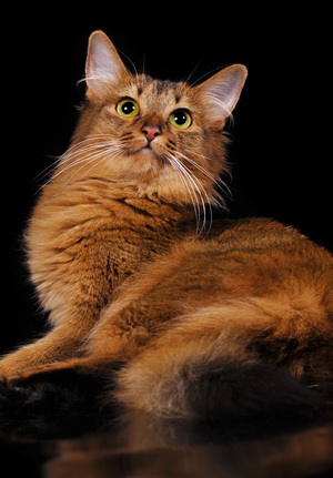 ������������