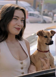 ��� ������