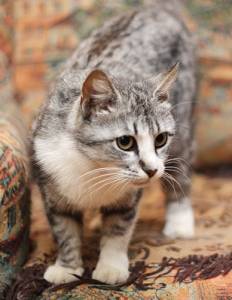 ����������