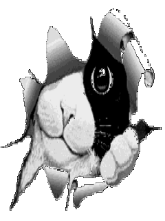 DimAgate