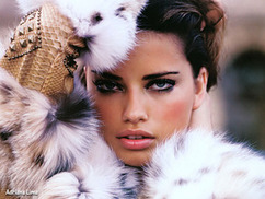 �������� ������