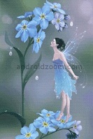 Forget-me-not