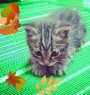 ����������