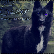 Caster