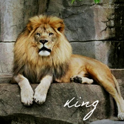 King