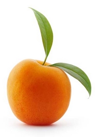 Fruit Overlord