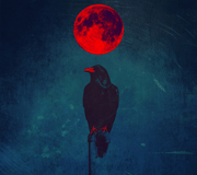 Crow