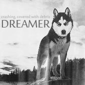 Dreamer.