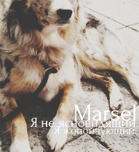 Marsel