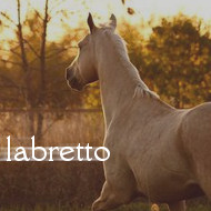 labretto