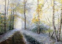 Тюменка Тюменка