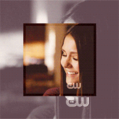 ������ �� *-*