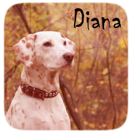 Diana