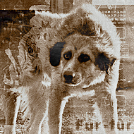 Fur-fur